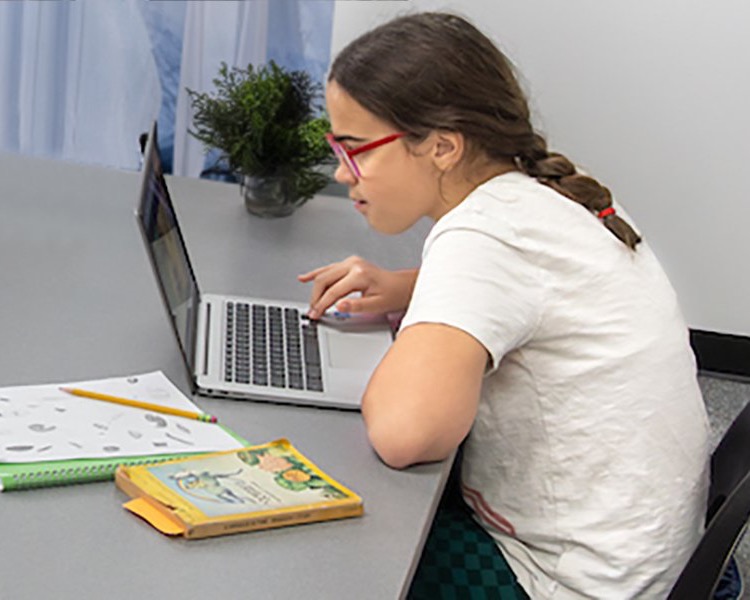 student doing studying at computer