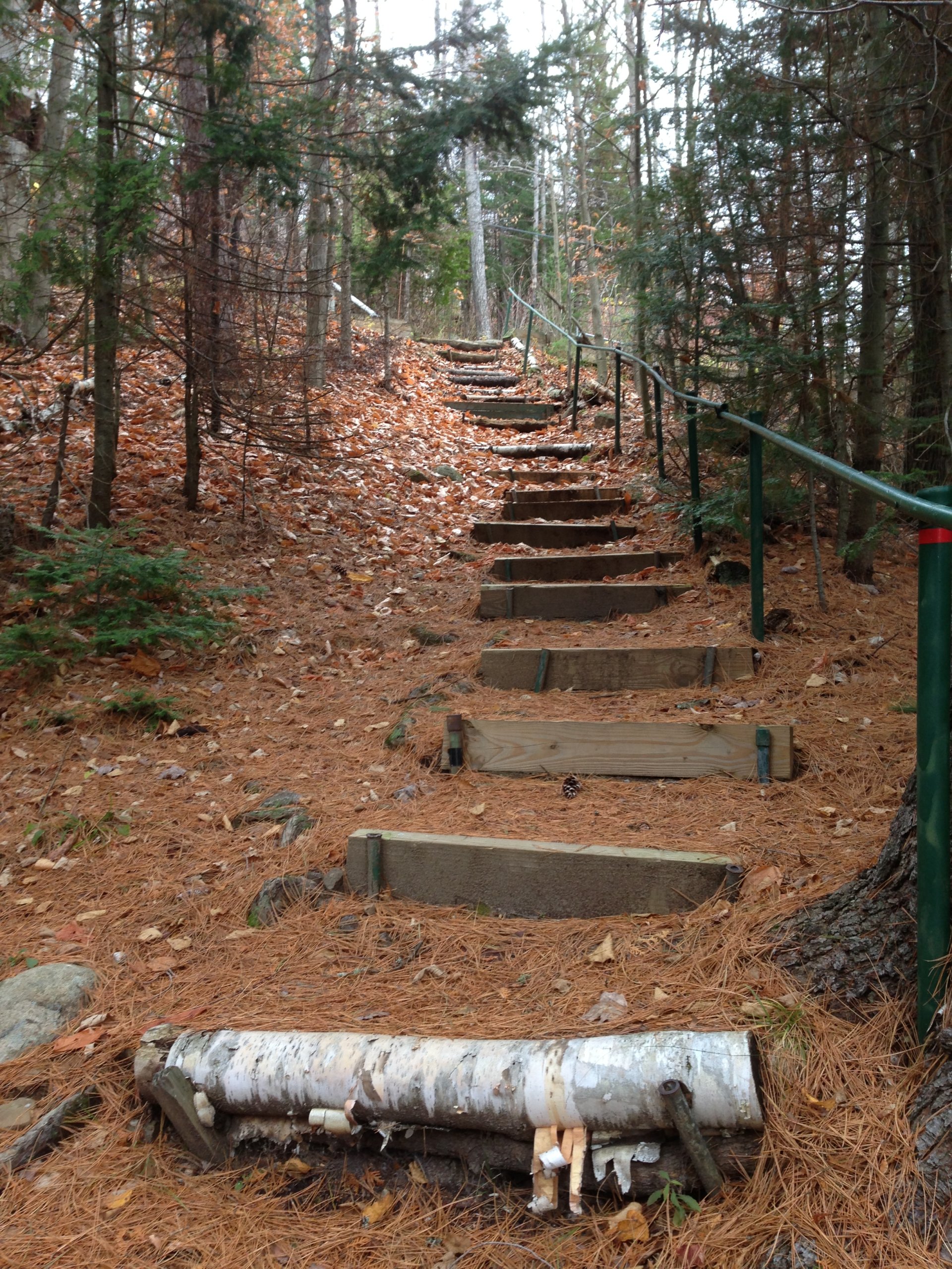 Rustic steps up the hill