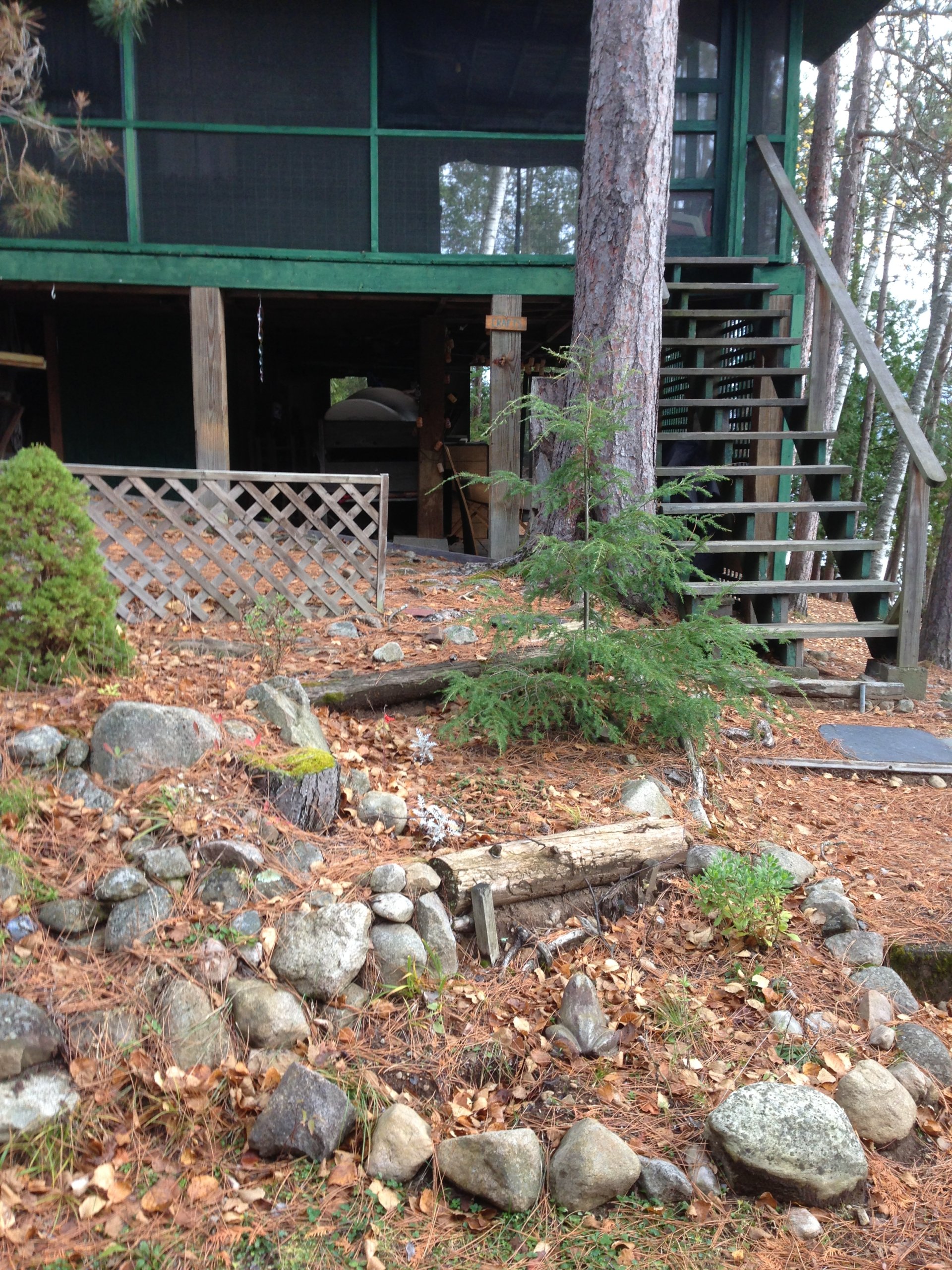 Cabin porch with steps